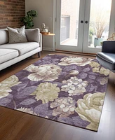 Addison Chantille Machine Washable ACN1561 8'x10' Area Rug