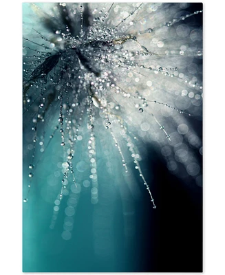 Beata Czyzowska Young 'Morning Sonata' 30" x 47" Canvas Wall Art