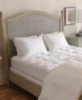 Beyond Down Synthetic 2-Pack Pillows, Standard Queen