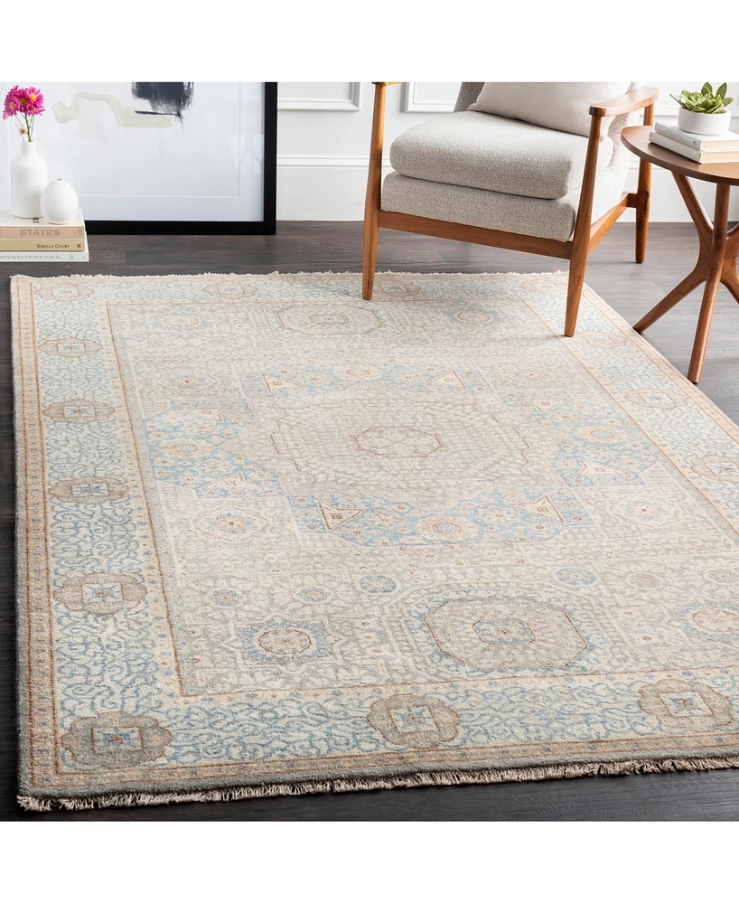 Surya Cambridge Cmb-8014 Aqua 2' x 3' Area Rug