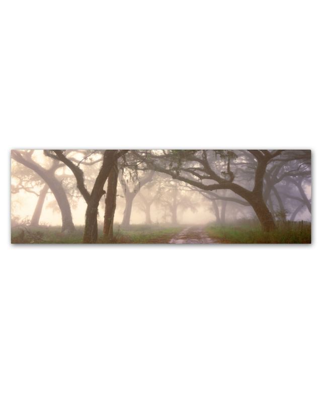 Doug Cavanah 'Dawns Early Light' Canvas Art - 19" x 6" x 2"