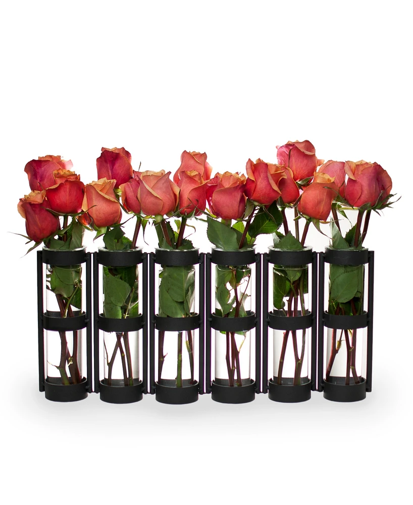 Danya B. 6 Wide Tube Hinged Vases
