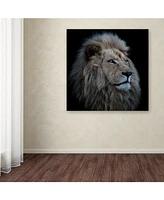 Louise Wolbers 'Proud Lion' Canvas Art - 14" x 14" x 2"