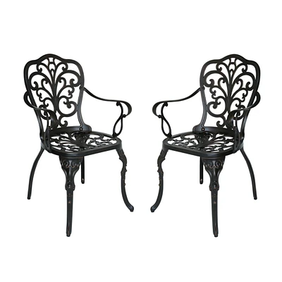 Viga Outdoor Dining Chair (Set of 2)