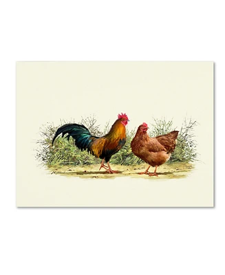 The Macneil Studio 'Cockerel And Hen Copy' Canvas Art - 14" x 19"