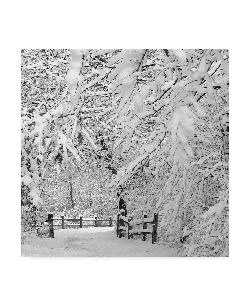 Incredi 'Winter Wonderland White' Canvas Art - 35" x 35"