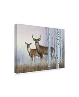 Rusty Frentner 'Deer In Birch Woods' Canvas Art - 24" x 32"