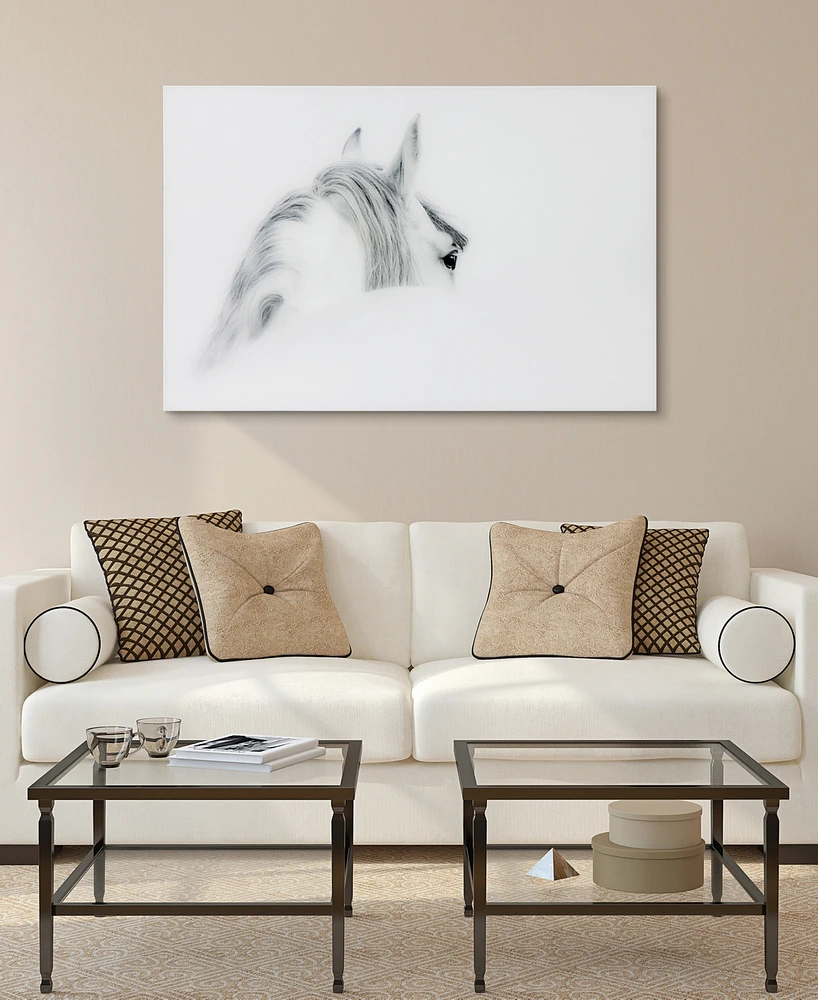 Empire Art Direct 'Blanco Mare Horse' Frameless Free Floating Tempered Glass Panel Graphic Wall Art - 48" x 32''
