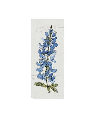 Anne Tavoletti Texas Bluebonnet Iii Canvas Art - 20" x 25"