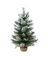 Northlight 22" Flocked Pine Artificial Christmas Tree in Burlap Base - Unlit