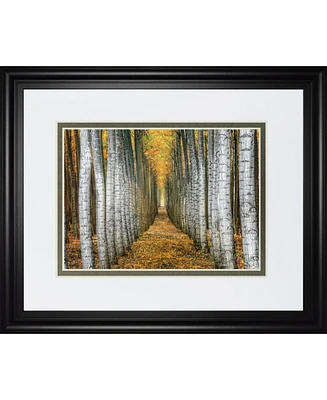 Classy Art Tree Farm by Cahill Framed Print Wall Art, 34" x 40"