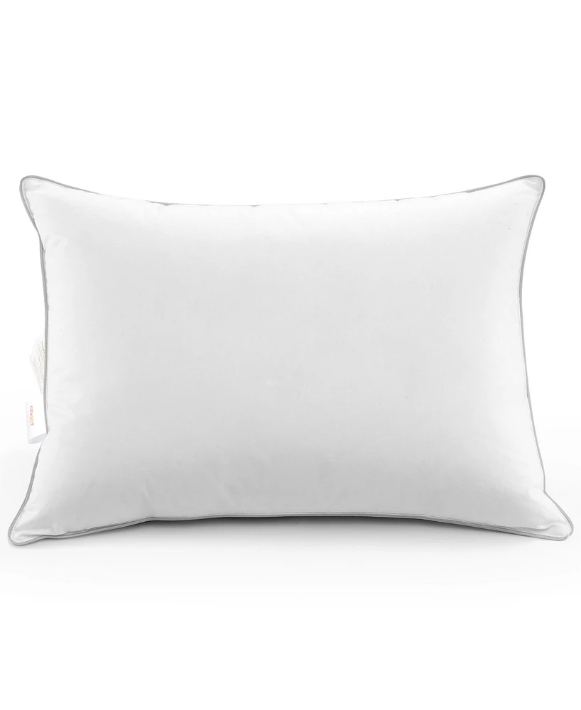 Cheer Collection Down Alternative 2-Pack Pillows, King