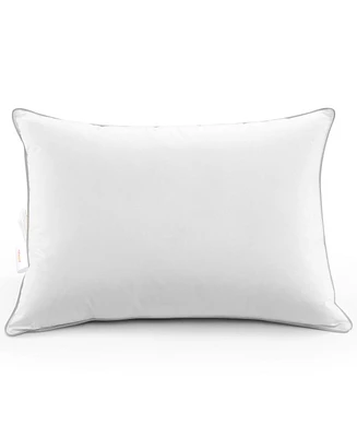 Cheer Collection Down Alternative 2-Pack Pillows, King