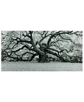 Empire Art Direct Growth Frameless Free Floating Tempered Art Glass Wall Art by Ead Art Coop, 36" x 72" x 0.2"