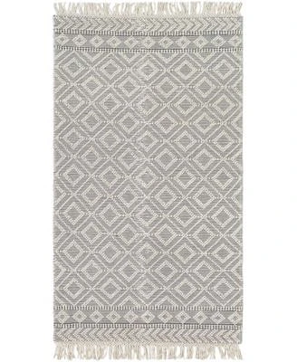 Closeout Livabliss Farmhouse Tassels Fts 2303 Gray Rug