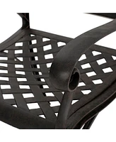Noble House Alfresco Outdoor Cast Dining Chairs, Set of 2