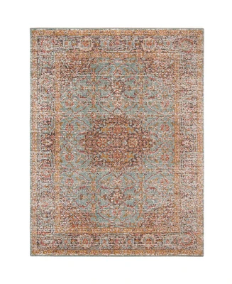 Amer Rugs Eternal Ete-30 Mint 5'7" x 7'6" Area Rug