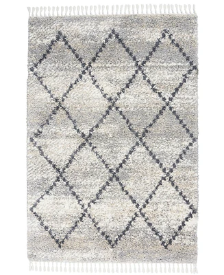 Nourison Home Oslo Shag OSL01 Silver 5'3" x 7'9" Area Rug