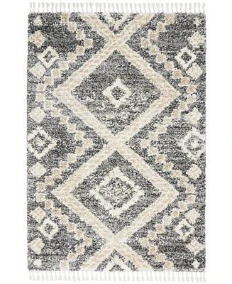 Nourison Home Oslo Shag OSL02 Gray and Ivory 5'3" x 7'9" Area Rug