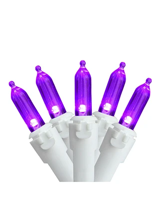 Northlight Led Mini Christmas Lights