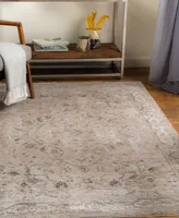 Livabliss Brunswick BWK2312 5' x 7'5" Area Rug