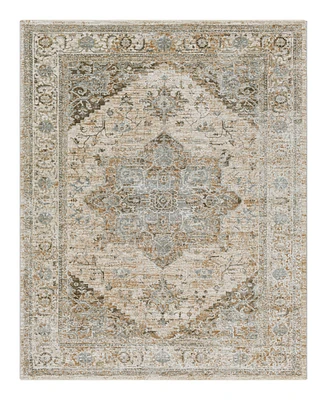 Livabliss Brunswick Bwk-2320 2'7" x 4' Area Rug