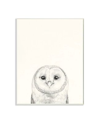 Stupell Industries Owl Portrait Gray Drawing Design Art, 13" x 19"