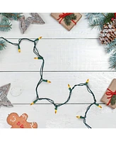Northlight 100 Count Opaque Mini Christmas Lights With Wire, 28.8'