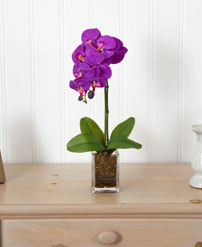 24" Orchid Phalaenopsis Artificial Arrangement in Vase