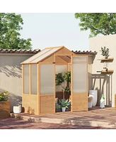 Outsunny 6' x 4' x 7' Polycarbonate Greenhouse, Walk-in Hot House Kit, Hobby Greenhouse with Lockable Door, Level 5 Wind Resistant Wooden Frame