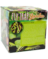 Unique Gardener Glass Terrarium Fly Trap Garden Plant Kit