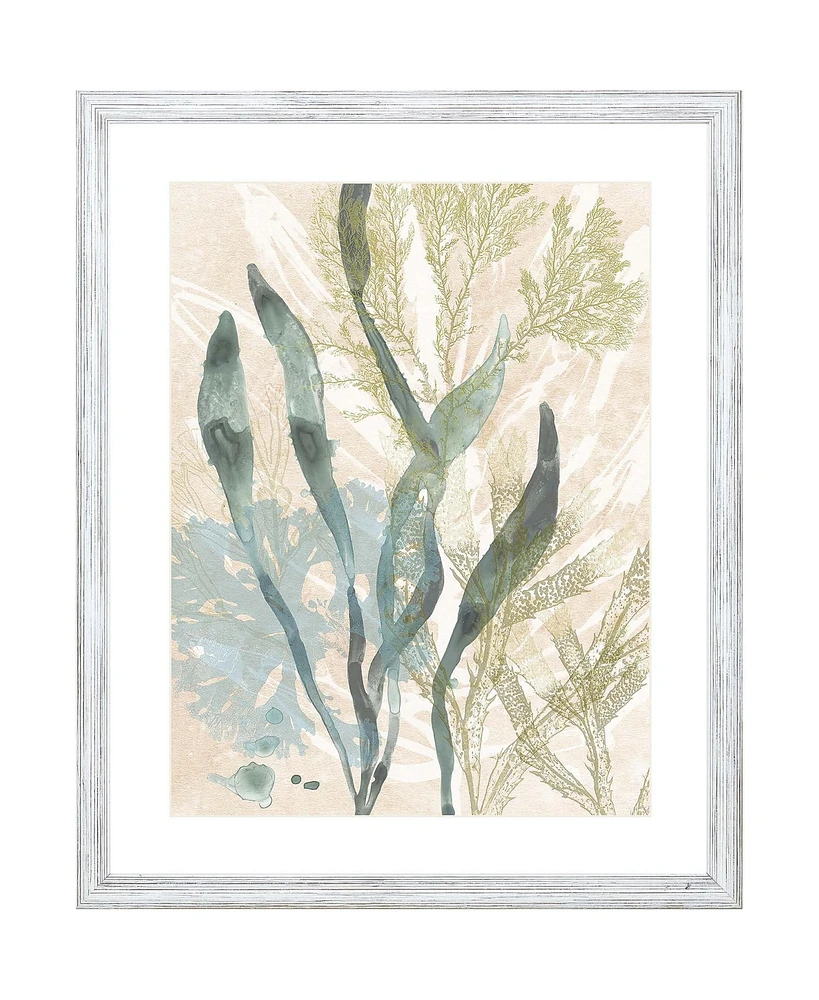 Vintage-Like Ocean Jewels Ii Framed Art