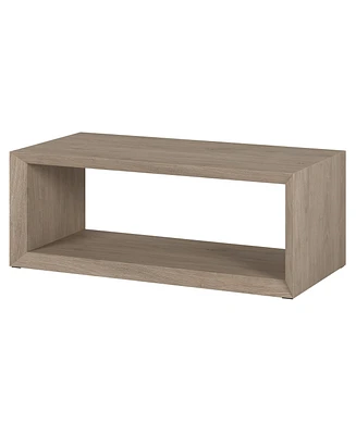 Hudson & Canal Osmond 48" Wide Rectangular Coffee Table