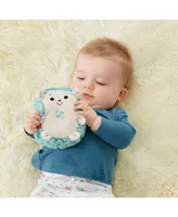 Fisher Price Calming Vibes Hedgehog Soother, Portable Infant Plush Pal
