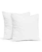 Square Sofa Throw Pillow Inserts - 16"x16" - 2 Pack