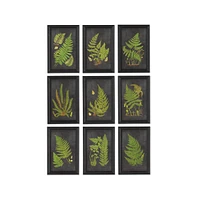 Framed Fern Botanical Prints Set of 9