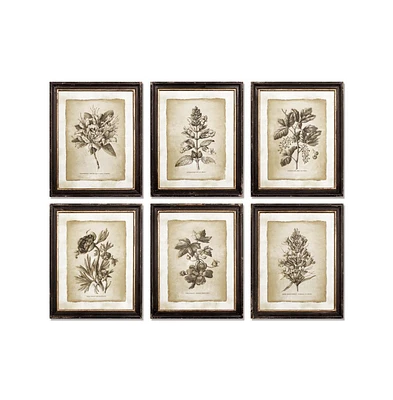 Framed Vintage like Floral Prints Set of 6