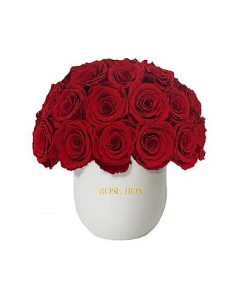Rose Box Nyc Half Ball of Long Lasting Preserved Real Roses in Classic Ceramic Vase, 35 Roses