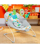 Playful Paradise Vibrating Bouncer