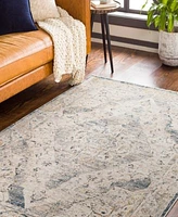 Livabliss Cardiff Cdf 2303 Rug Collection