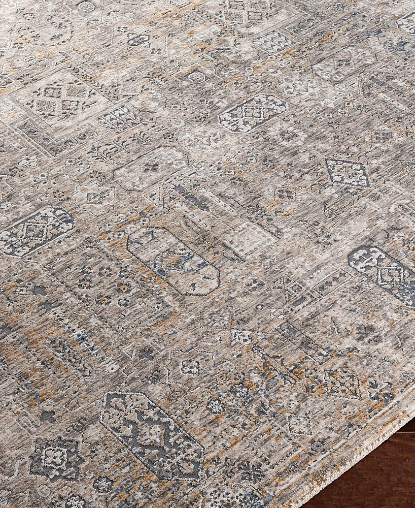 Livabliss Cardiff Cdf-2309 5'3x5'3 Round Area Rug