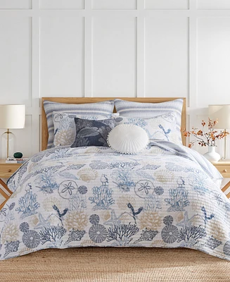 Levtex Serena Sea Reversible 3-Pc. Quilt Set, Full/Queen