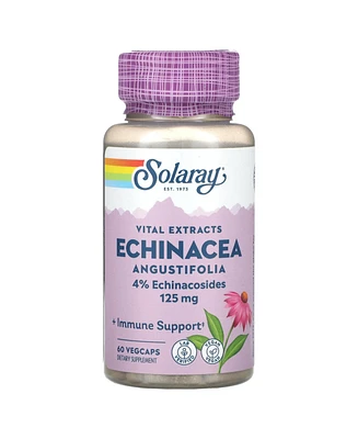 Solaray Vital Extracts Echinacea Angustifolia - 60 VegCaps