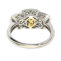Suzy Levian Sterling Silver Cubic Zirconia Brown Three Stones Halo Ring