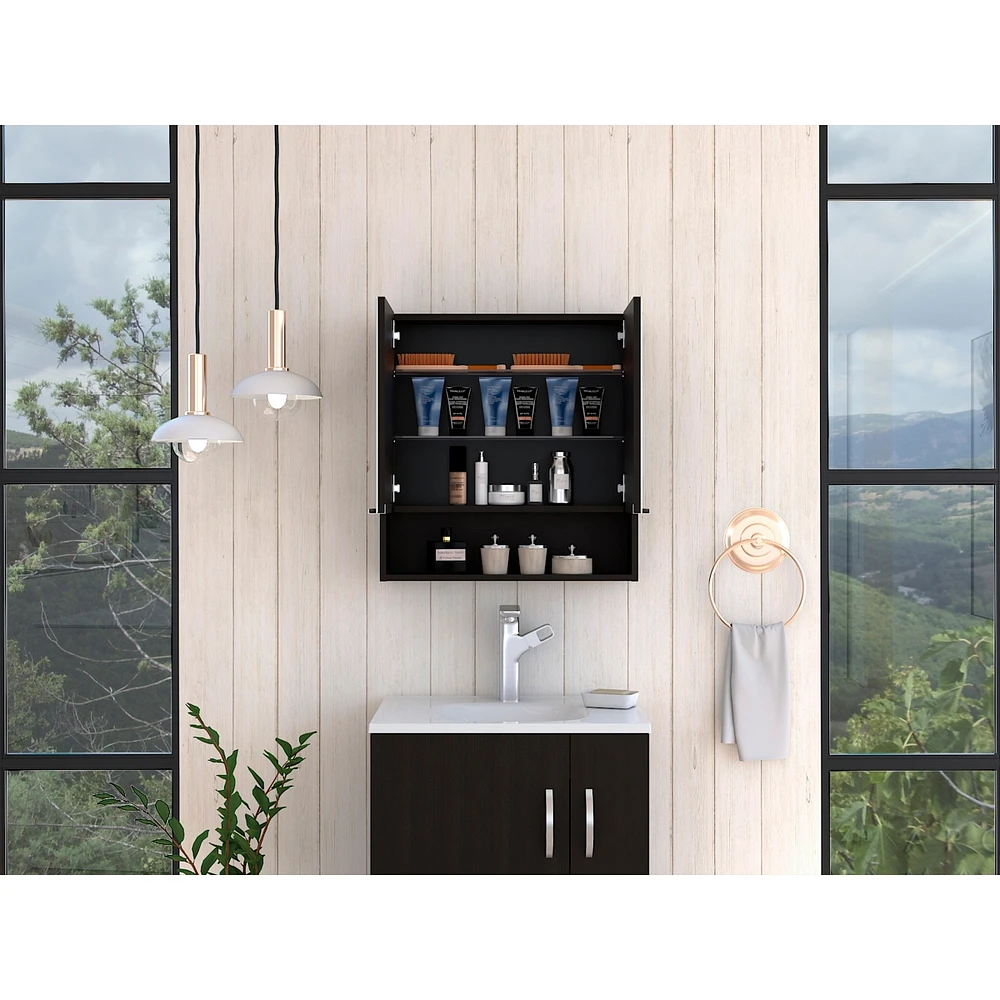 Manchester Rectangle Medicine Cabinet With Mirror Wengue