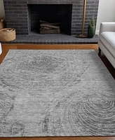 Addison Chantille Machine Washable ACN713 2'6"x3'10" Area Rug