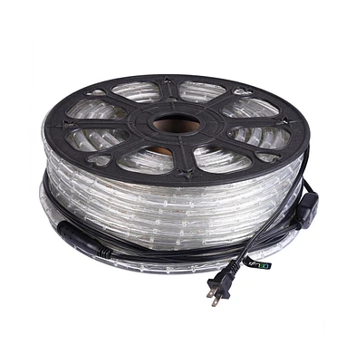 DELight 150' 2 Wire Led Rope Light Home In/Outdoor Party Xmas Lighting
