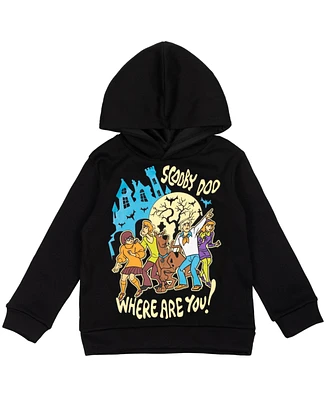 Scooby Doo Toddler Boys Warner Bros. Fleece Pullover Hoodie
