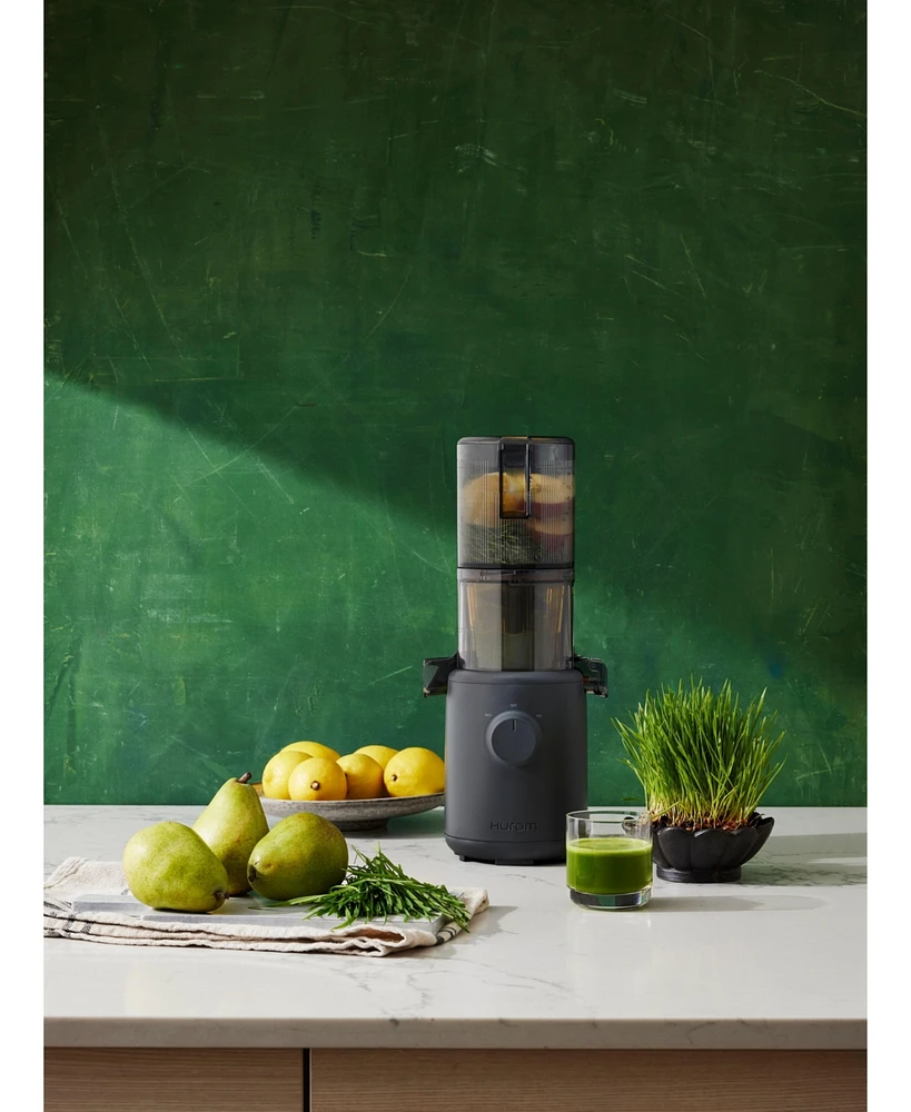 Hurom H310 Personal Easy Clean Slow Juicer
