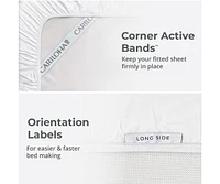 Cariloha Classic 4-Piece Twill Sheet Set | Tahitian Breeze | Queen | Viscose Material |Extra soft, Cooling for Hot Sleepers, Corner Bands